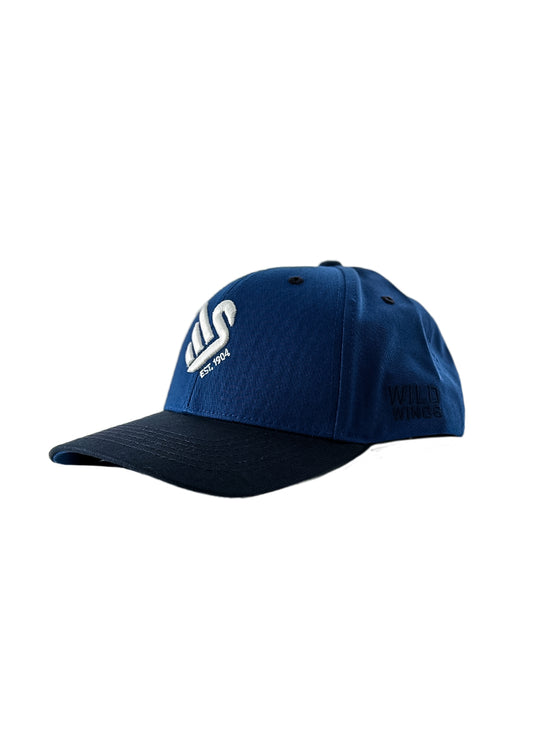 Basecap Icon TwoTone Navy