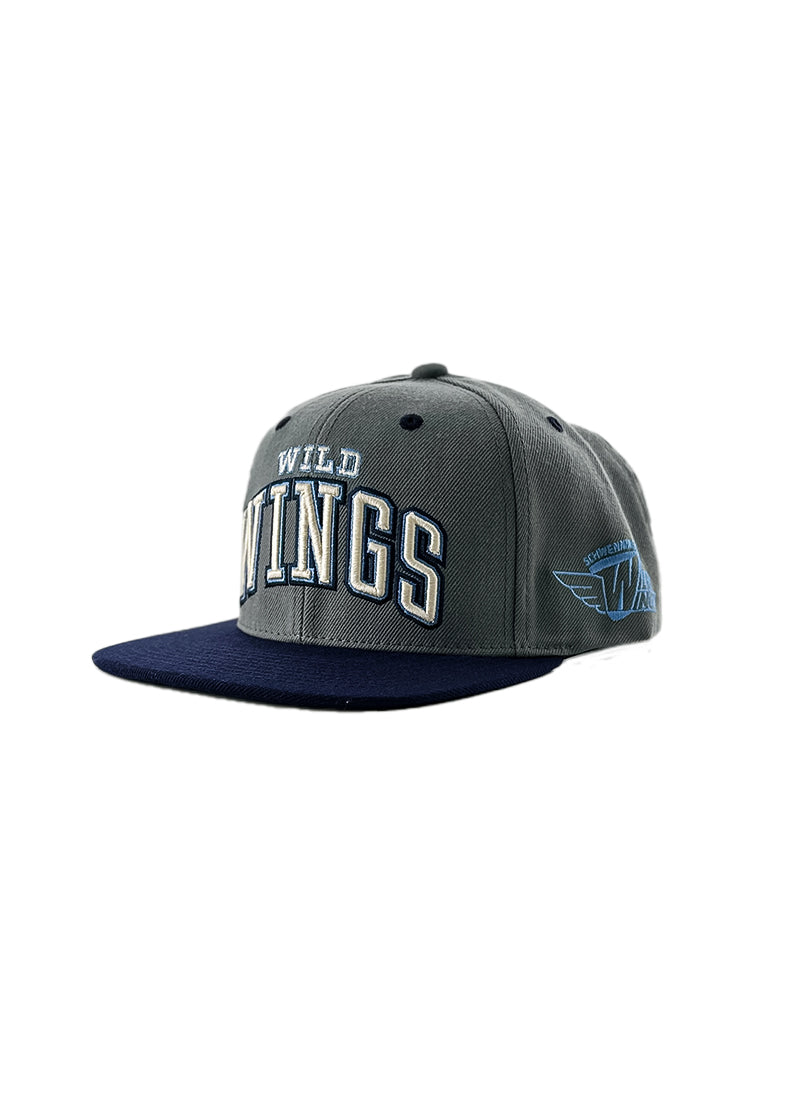 Snapback Wild Wings Grau/Blau