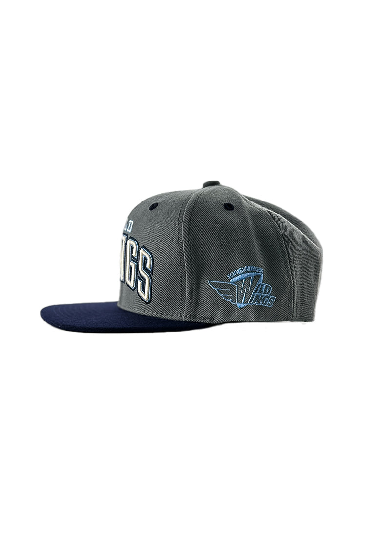 Snapback Wild Wings Grau/Blau