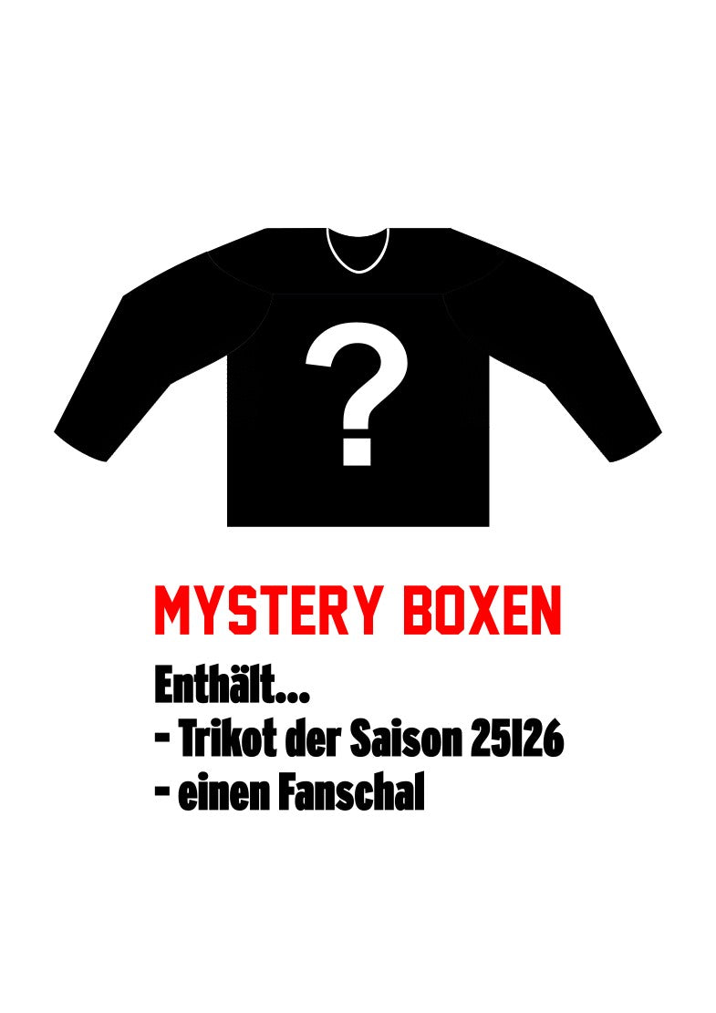 Mystery Boxen Trikots 25I26