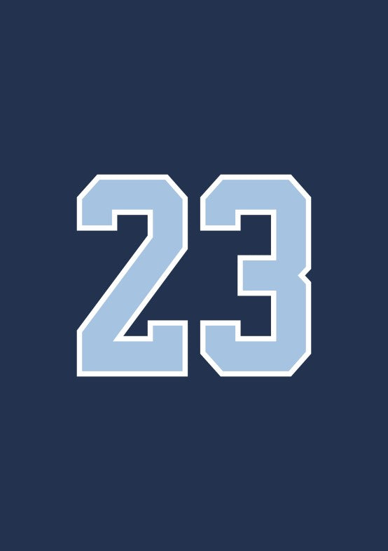 #23 LEBSTER Trikots 26I27