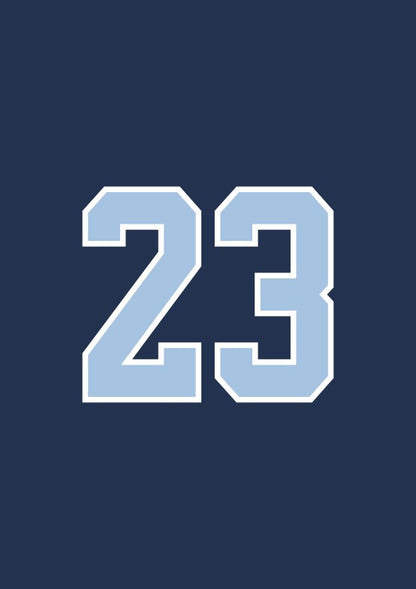 #23 LEBSTER Trikots 26I27