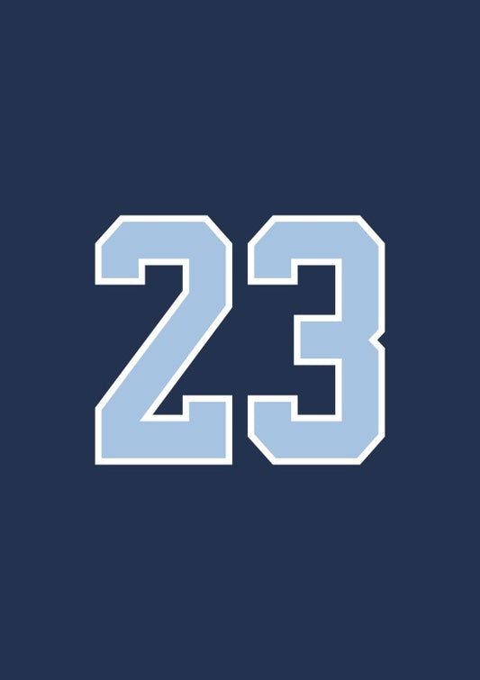 #23 LEBSTER Trikots 26I27