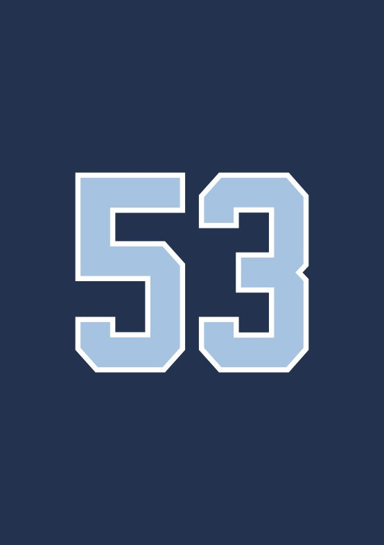#53 TRIVELLATO Trikots 26I27